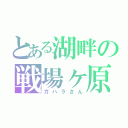 とある湖畔の戦場ヶ原（ガハラさん）