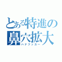 とある特進の鼻穴拡大（ハナフッカー）