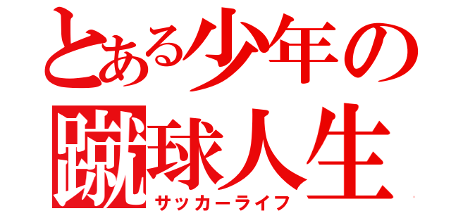 とある少年の蹴球人生（サッカーライフ）