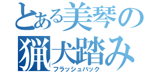 とある美琴の猟犬踏み（フラッシュバック）