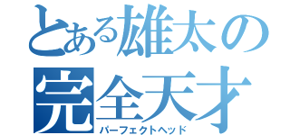 とある雄太の完全天才（パーフェクトヘッド）