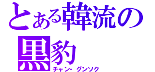 とある韓流の黒豹（チャン・グンソク）