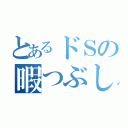 とあるドＳの暇つぶし（）