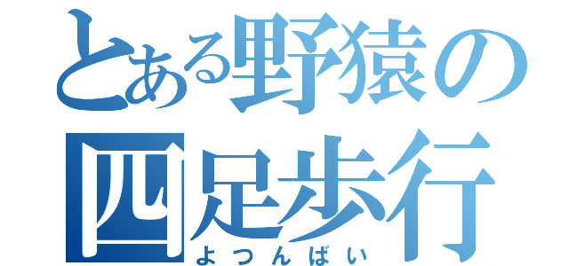 とある野猿の四足歩行（よつんばい）