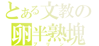 とある文教の卵半熟塊（プリン）