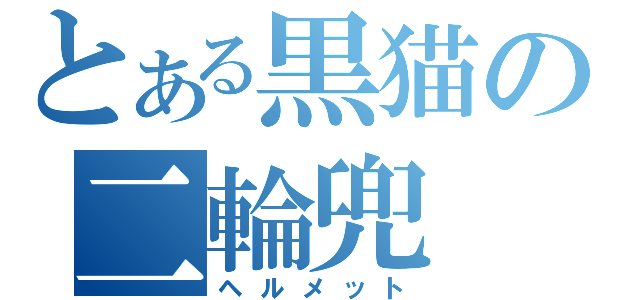 とある黒猫の二輪兜（ヘルメット）