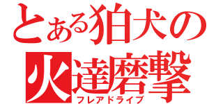 とある狛犬の火達磨撃（フレアドライブ）