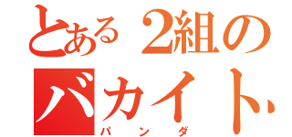 とある２組のバカイト（パンダ）