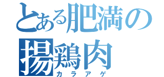 とある肥満の揚鶏肉（カラアゲ）