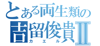 とある両生類の吉留俊貴Ⅱ（カエル）