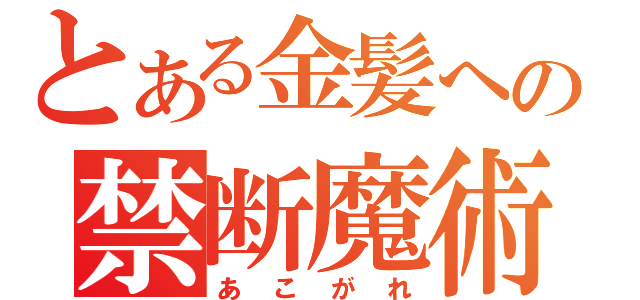 とある金髪への禁断魔術（あこがれ）