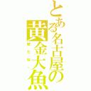 とある名古屋の黄金大魚（鯱だね。）