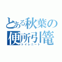 とある秋葉の便所引篭（トイレニート）