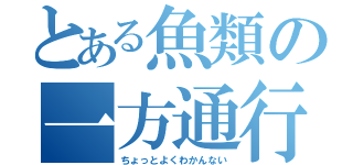 とある魚類の一方通行（ちょっとよくわかんない）