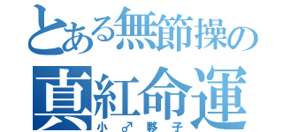 とある無節操の真紅命運（小♂夥子）