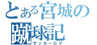 とある宮城の蹴球記（サッカーログ）