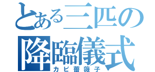 とある三匹の降臨儀式（カピ薔薇子）