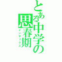 とある中学の思春期（インデックス）