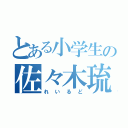 とある小学生の佐々木琉（れいるど）