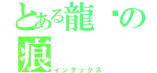 とある龍熦の痕（インデックス）