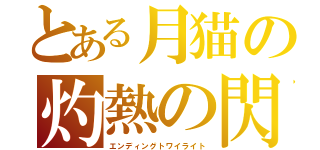 とある月猫の灼熱の閃光（エンディングトワイライト）