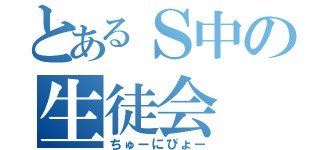 とあるＳ中の生徒会（ちゅーにびょー）