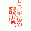 とある厨房の飛行統一（ガチ趣味パ）