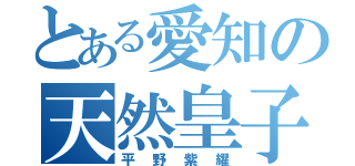 とある愛知の天然皇子（平野紫耀）