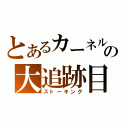 とあるカーネルの大追跡目録（ストーキング）