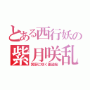 とある西行妖の紫月咲乱（冥府に咲く墨染桜）