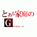 とある家庭のＧ（アクセラレータ）