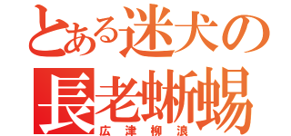 とある迷犬の長老蜥蜴（広津柳浪）