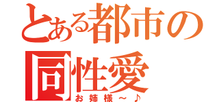 とある都市の同性愛（お姉様～♪）