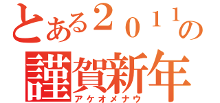 とある２０１１年の謹賀新年（アケオメナウ）