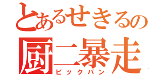 とあるせきるの厨二暴走（ビックバン）