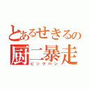 とあるせきるの厨二暴走（ビックバン）