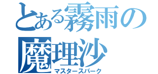 とある霧雨の魔理沙（マスタースパーク）