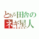 とある田舎のネギ星人（未確認生物）