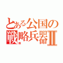 とある公国の戦略兵器Ⅱ（核）