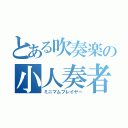 とある吹奏楽の小人奏者（ミニマムプレイヤー）