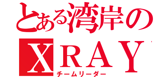 とある湾岸のＸＲＡＹ（チームリーダー）