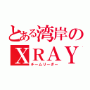 とある湾岸のＸＲＡＹ（チームリーダー）