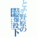 とある野原の核爆投下（いわゆるアレ）