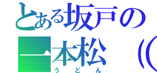 とある坂戸の一本松（？）（うどん）