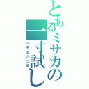 とあるミサカの一寸試し（一五五六三号）