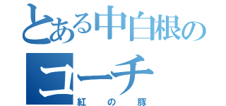 とある中白根のコーチ（紅の豚）