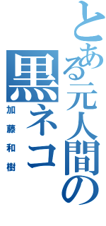 とある元人間の黒ネコ（加藤和樹）