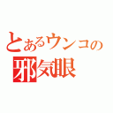 とあるウンコの邪気眼（）