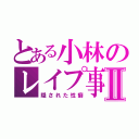 とある小林のレイプ事件簿Ⅱ（隠された性癖）