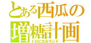 とある西瓜の増糖計画（トロピカルランド）